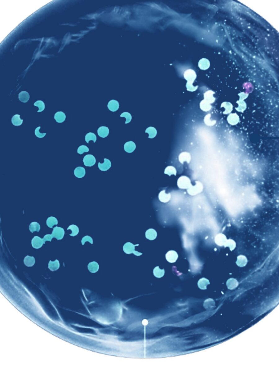 Cross-section illustration of AEGIS microcapsules containing FK-5-1-12 fire suppressant